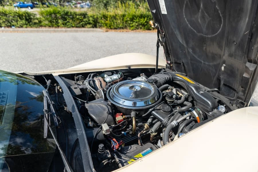 1981 Chevrolet Corvette C3 - Image 17 of 18