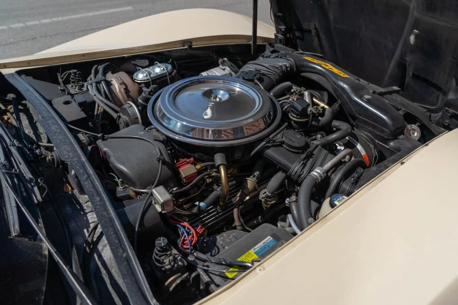 1981 Chevrolet Corvette C3 - Image 14 of 14