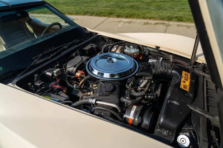 1981 Chevrolet Corvette C3 - Image 15 of 15