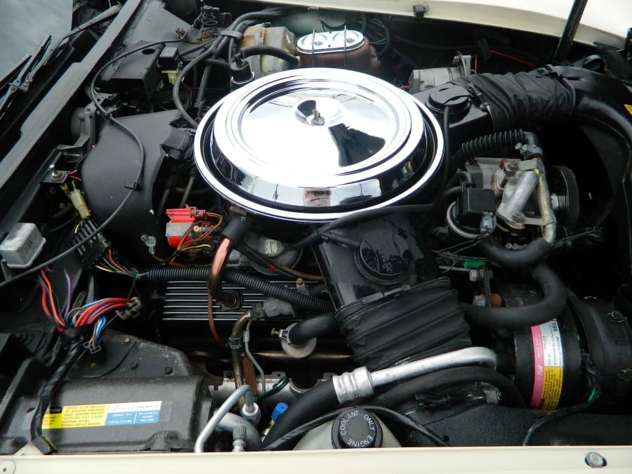 1981 Chevrolet Corvette C3 - Image 6 of 7