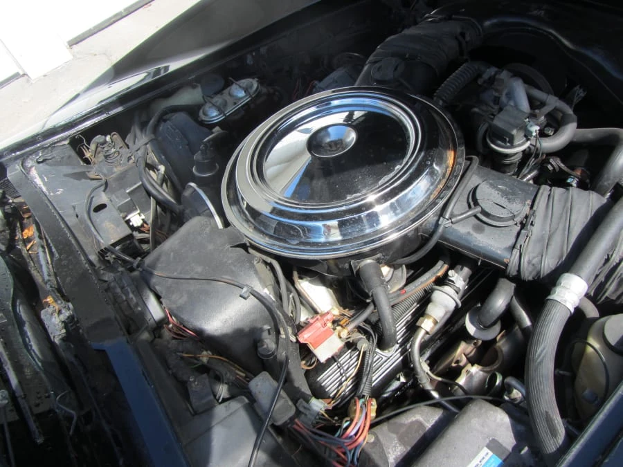 1981 Chevrolet Corvette C3 - Image 6 of 7