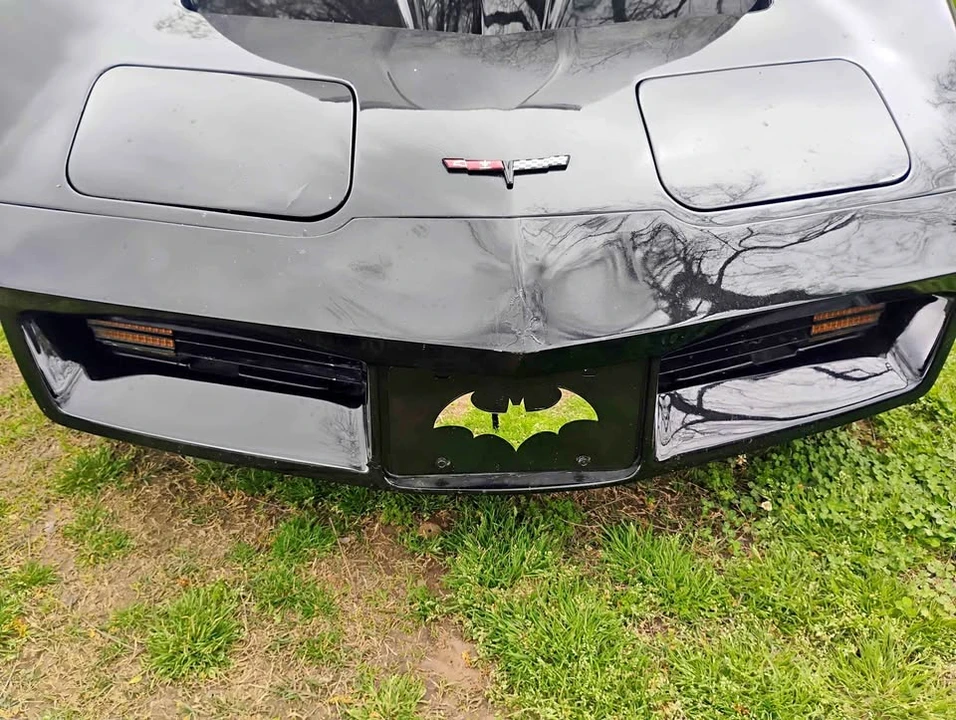 1981 Chevrolet Corvette C3 - Image 1 of 14