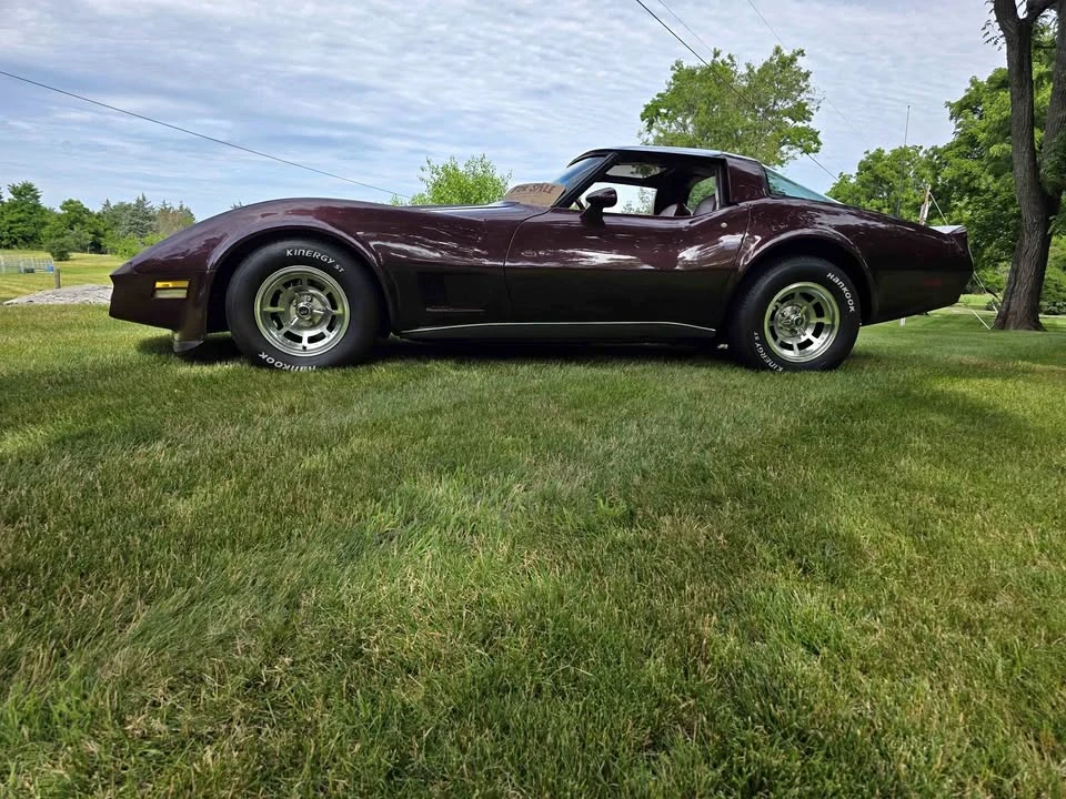 1981 Chevrolet Corvette C3 - Image 1 of 14