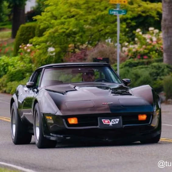 1981 Chevrolet Corvette C3 - Image 1 of 1