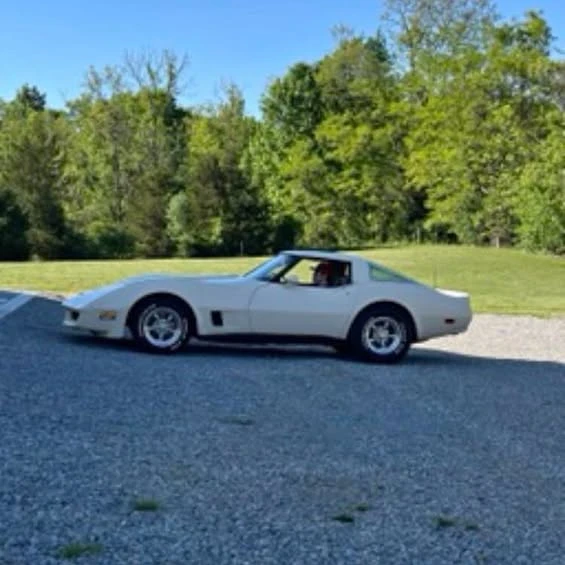 1981 Chevrolet Corvette C3 - Image 1 of 1