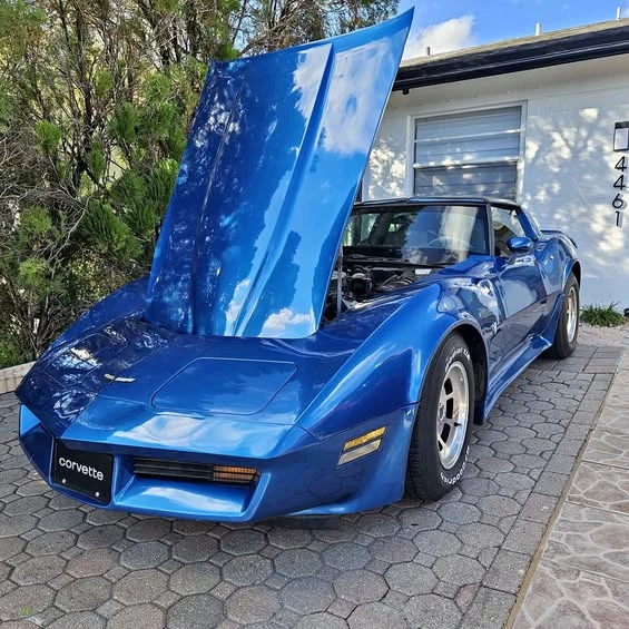 1981 Chevrolet Corvette C3 - Image 1 of 1