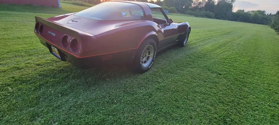 1981 Chevrolet Corvette C3 - Image 6 of 18