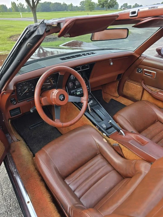 1981 Chevrolet Corvette C3 - Image 8 of 18