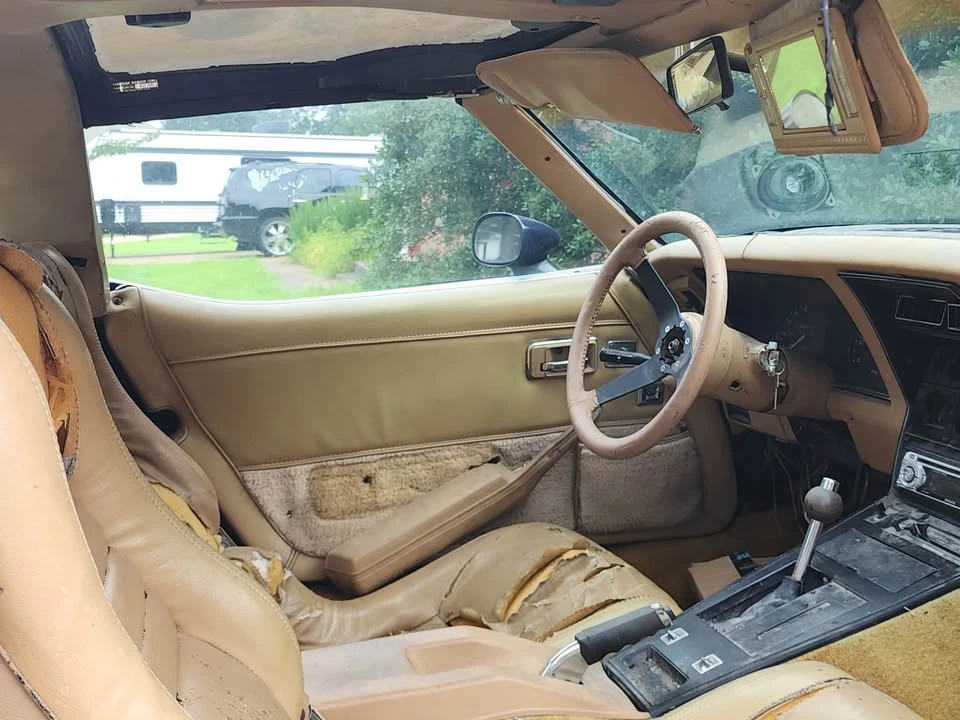 1981 Chevrolet Corvette C3 - Image 3 of 12