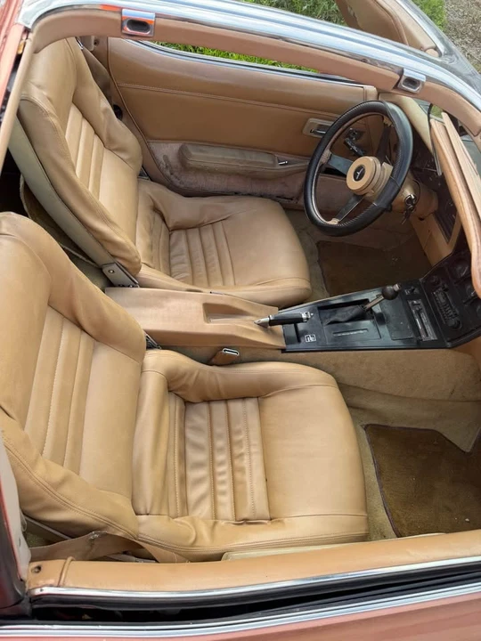 1981 Chevrolet Corvette C3 - Image 3 of 6