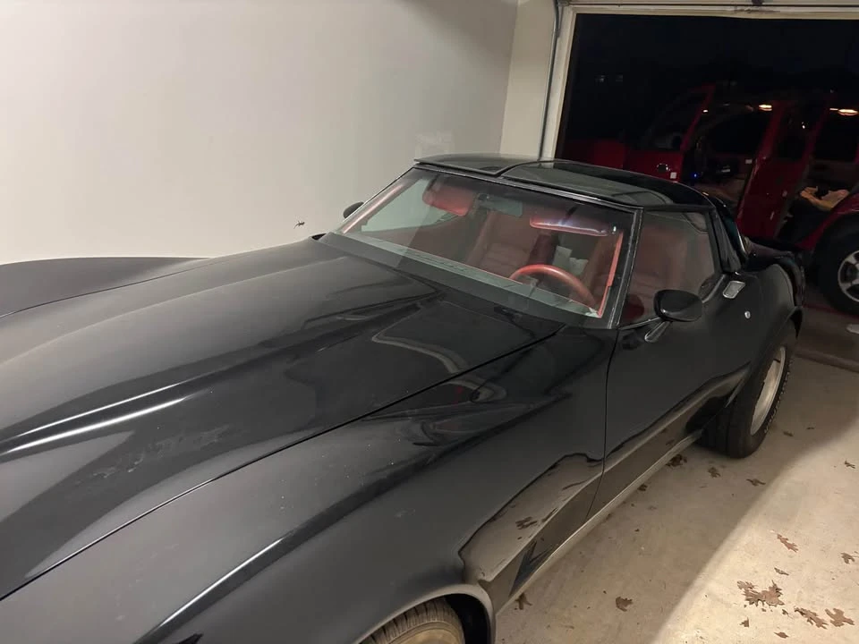 1981 Chevrolet Corvette C3 - Image 13 of 13