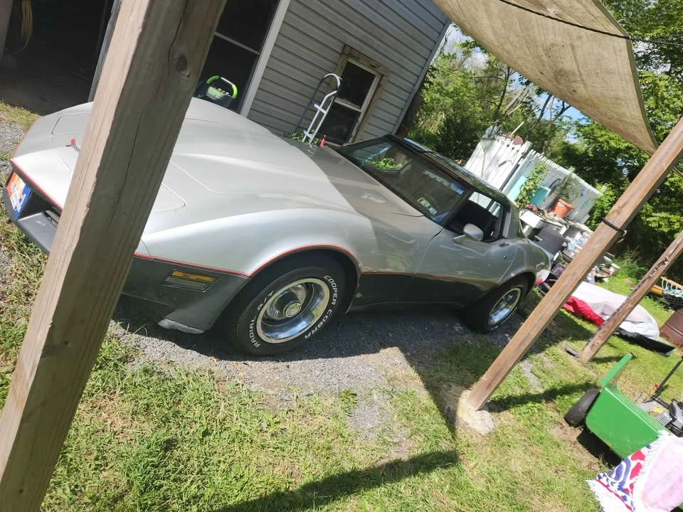1981 Chevrolet Corvette C3 - Image 7 of 7