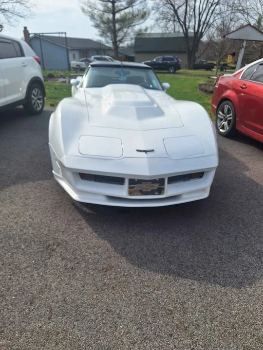 1981 Chevrolet Corvette C3 - Image 2 of 10