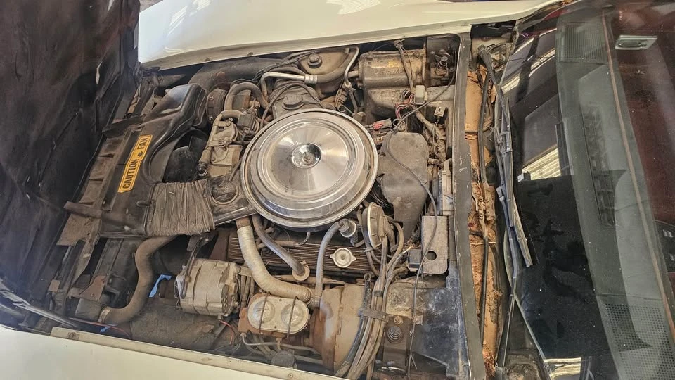 1981 Chevrolet Corvette C3 - Image 10 of 11