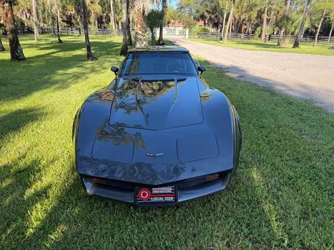 1981 Chevrolet Corvette C3 - Image 3 of 10