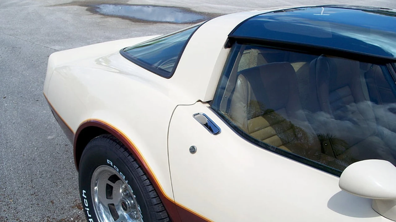 1981 Chevrolet Corvette C3 - Image 10 of 20