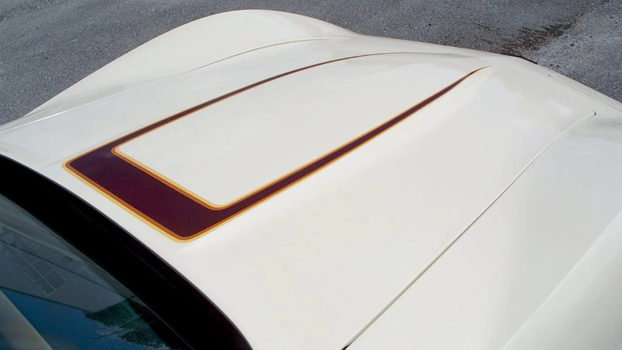 1981 Chevrolet Corvette C3 - Image 15 of 20