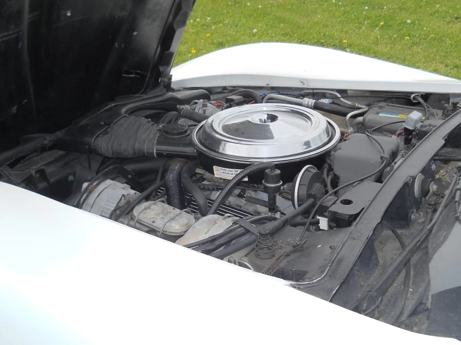 1981 Chevrolet Corvette C3 - Image 5 of 8