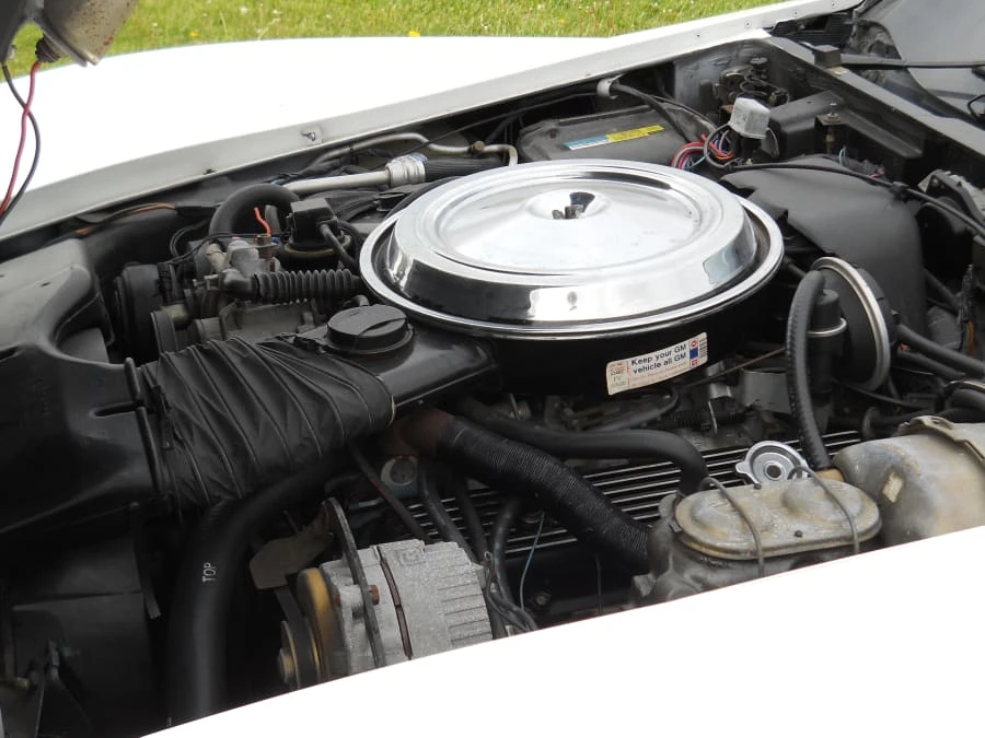 1981 Chevrolet Corvette C3 - Image 6 of 8