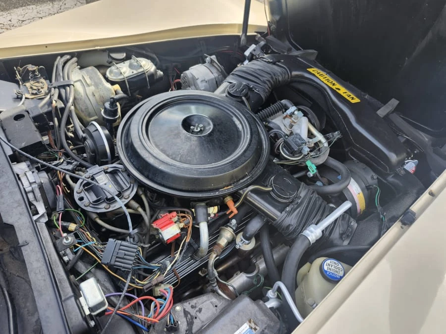 1981 Chevrolet Corvette C3 - Image 14 of 16