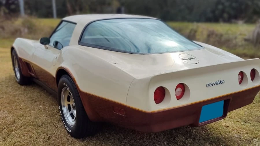 1981 Chevrolet Corvette C3 - Image 8 of 11