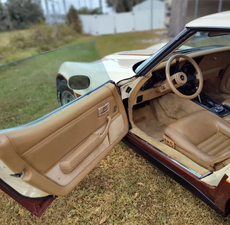 1981 Chevrolet Corvette C3 - Image 10 of 11