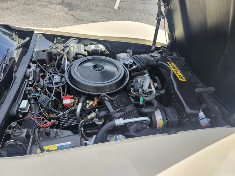 1981 Chevrolet Corvette C3 - Image 13 of 16