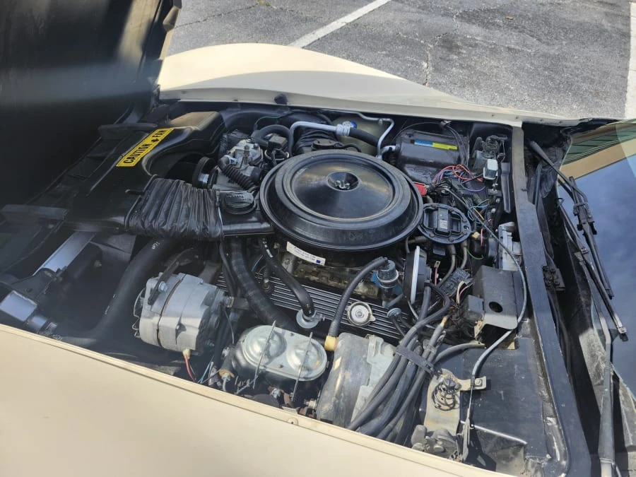 1981 Chevrolet Corvette C3 - Image 12 of 16