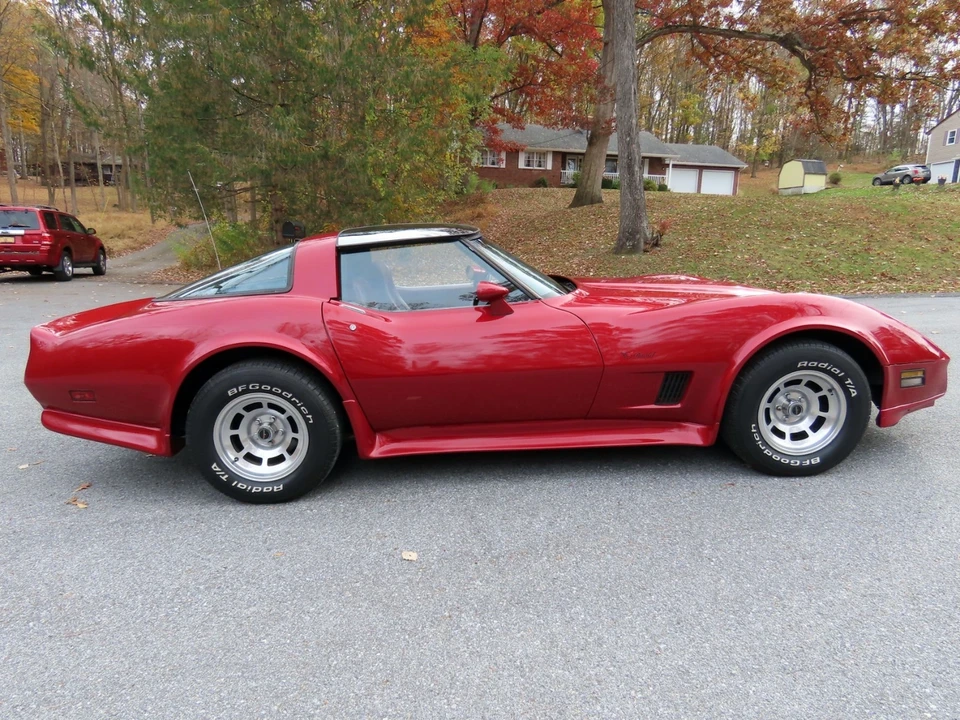 1981 Chevrolet Corvette C3 - Image 20 of 21
