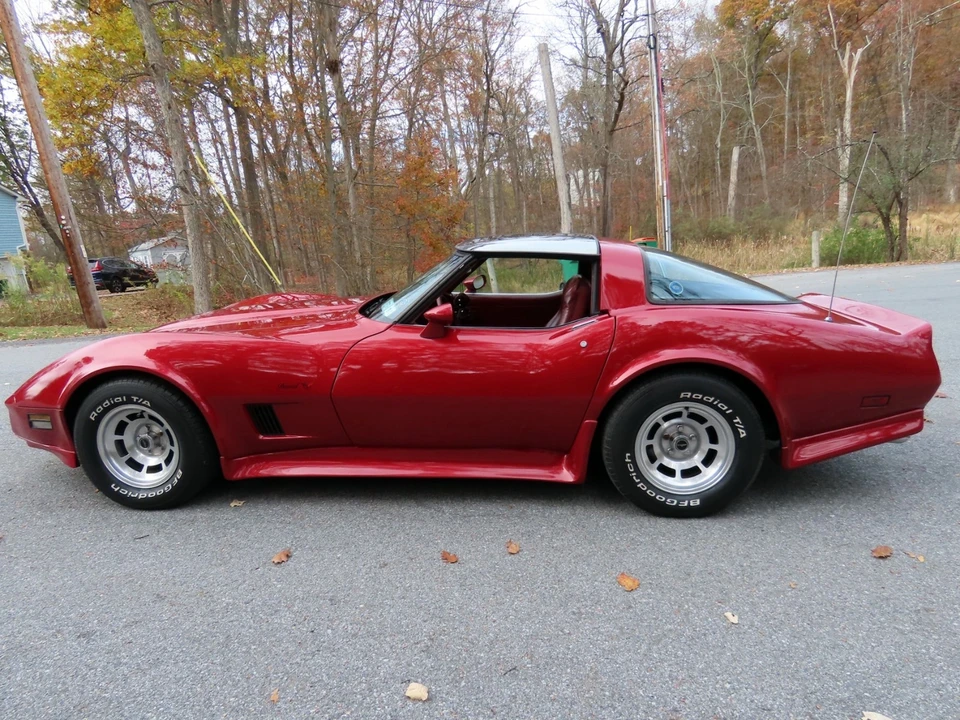 1981 Chevrolet Corvette C3 - Image 16 of 21