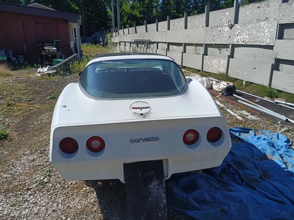 1981 Chevrolet Corvette C3 - Image 12 of 14