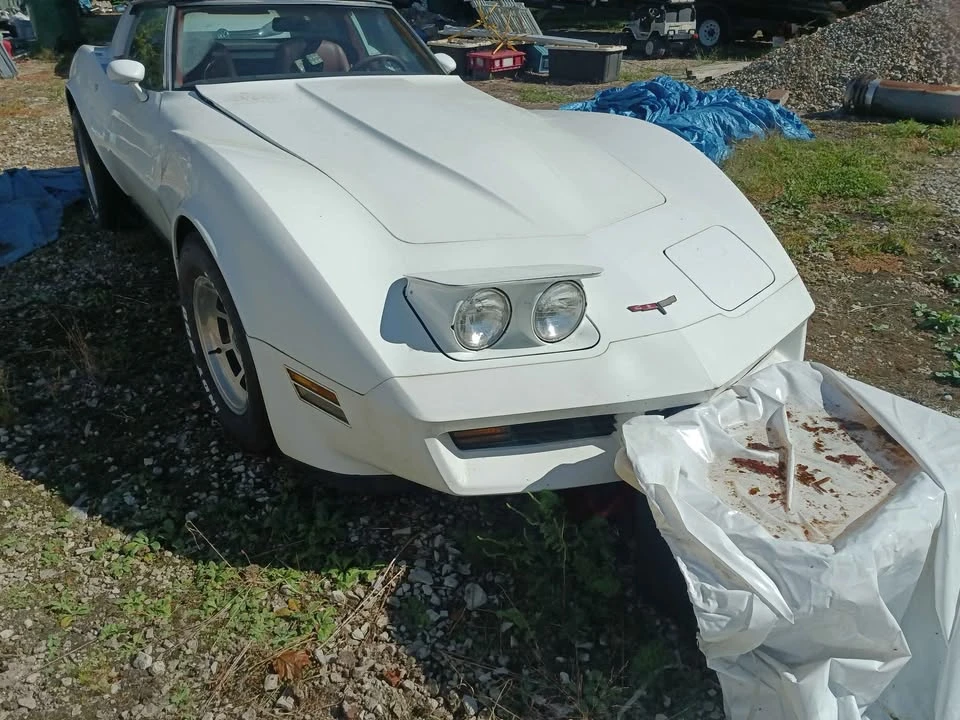 1981 Chevrolet Corvette C3 - Image 6 of 14