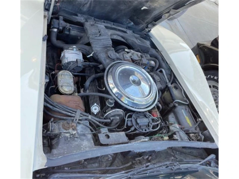 1981 Chevrolet Corvette C3 - Image 3 of 9