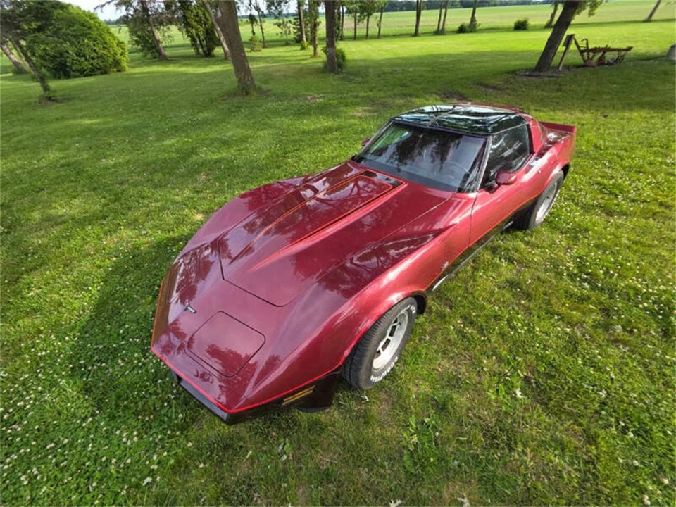 1981 Chevrolet Corvette C3 - Image 9 of 31