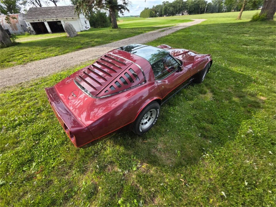 1981 Chevrolet Corvette C3 - Image 13 of 31