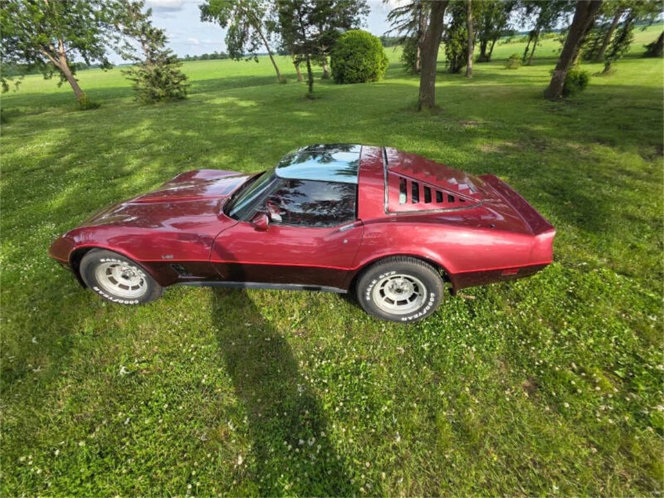 1981 Chevrolet Corvette C3 - Image 16 of 31