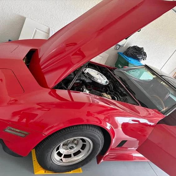 1981 Chevrolet Corvette - Image 1 of 1