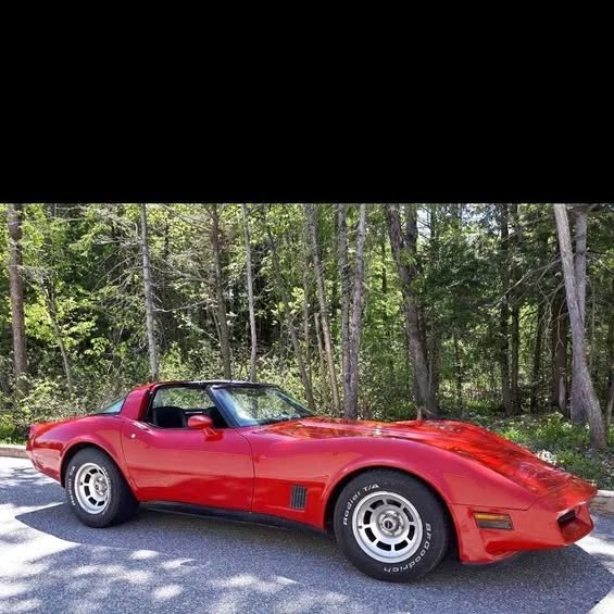 1981 Chevrolet Corvette C3 - Image 1 of 1