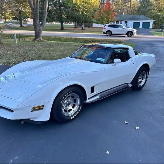 1981 Chevrolet Corvette C3 - Image 1 of 1