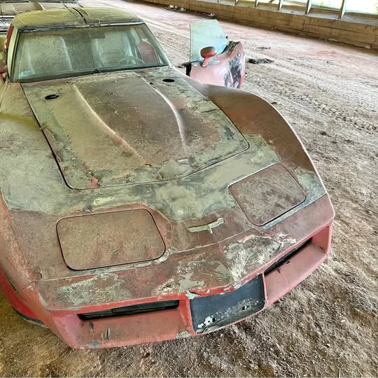 1981 Chevrolet Corvette C3 - Image 1 of 1