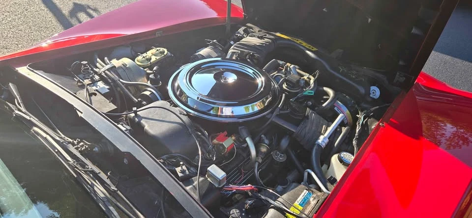 1981 Chevrolet Corvette C3 - Image 6 of 12