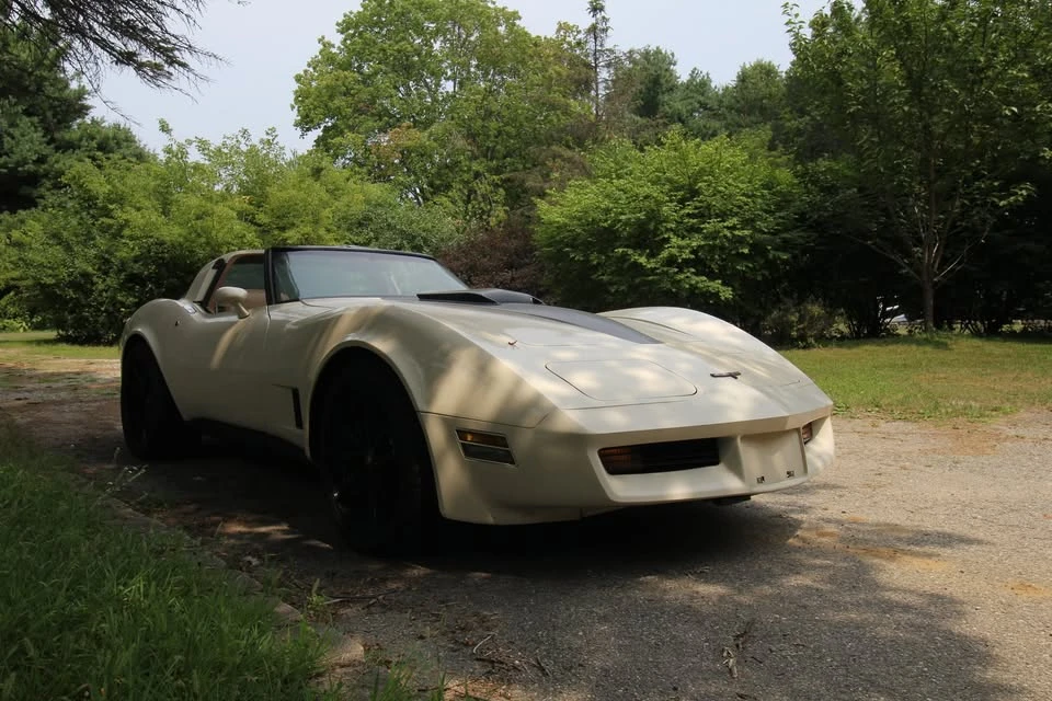 1981 Chevrolet Corvette C3 - Image 19 of 20