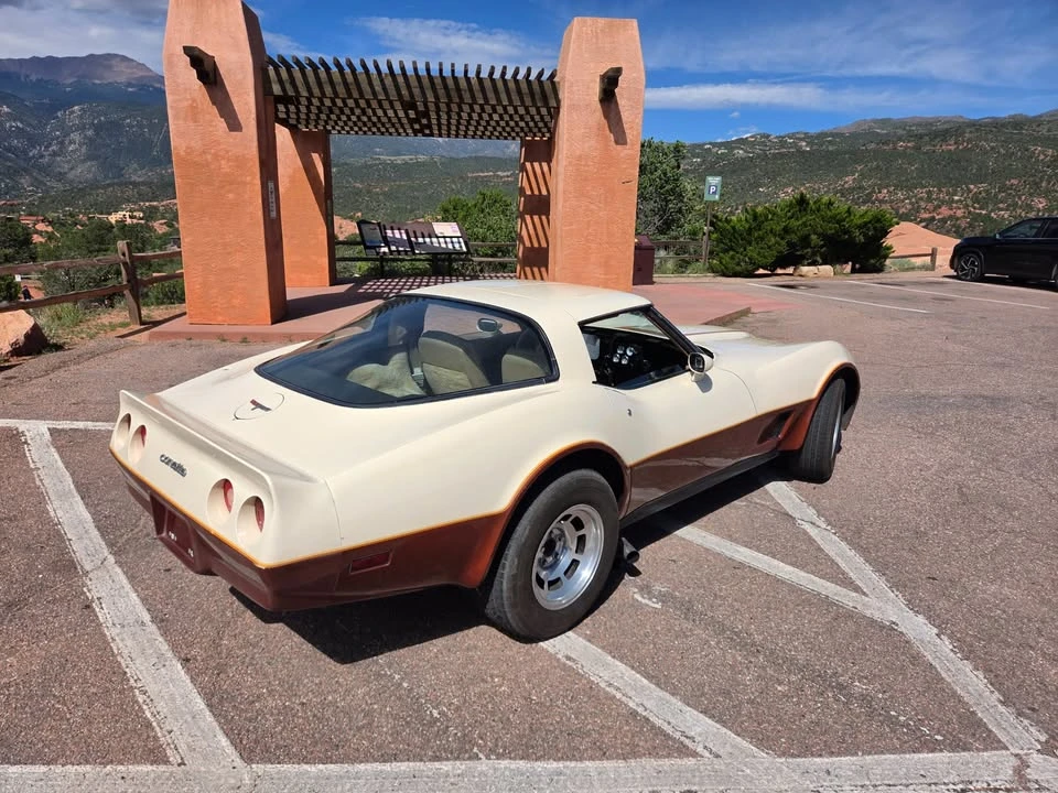 1981 Chevrolet Corvette C3 - Image 6 of 16