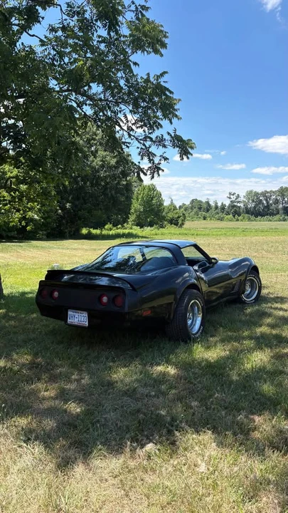 1981 Chevrolet Corvette C3 - Image 3 of 10