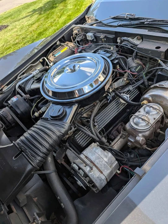 1981 Chevrolet Corvette C3 - Image 14 of 16