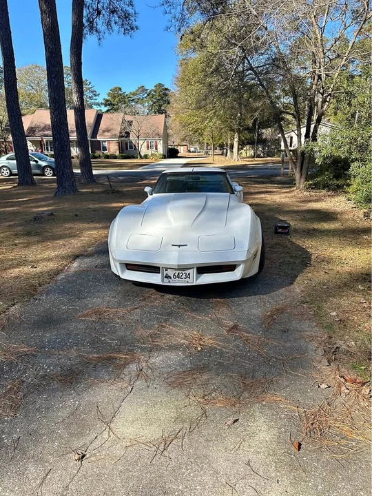 1981 Chevrolet Corvette C3 - Image 1 of 7