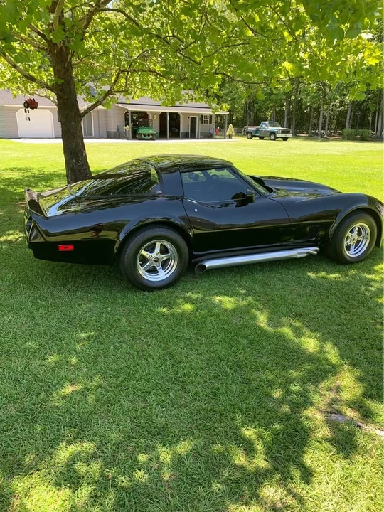 1981 Chevrolet Corvette C3 - Image 1 of 7