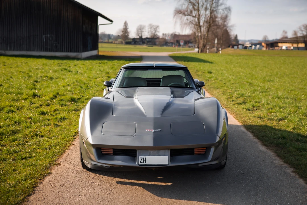 1981 Chevrolet Corvette C3 - Image 10 of 31