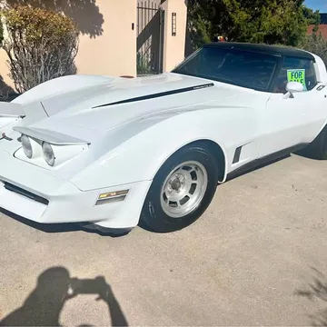 1981 Chevrolet Corvette Stingray