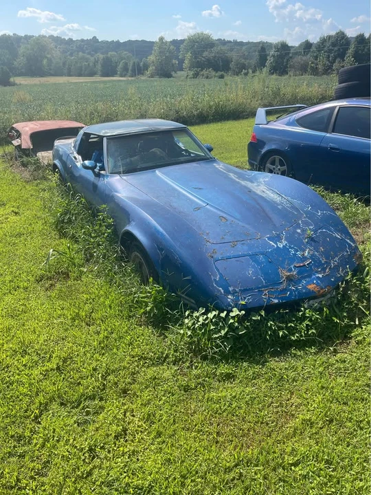 1981 Chevrolet Corvette C3 - Image 2 of 20